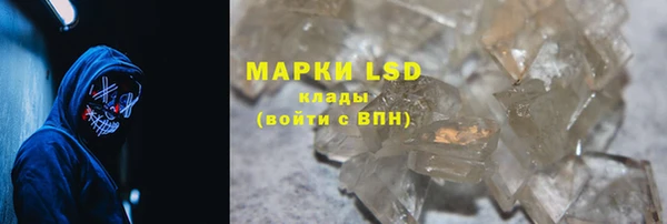 гидра Верея