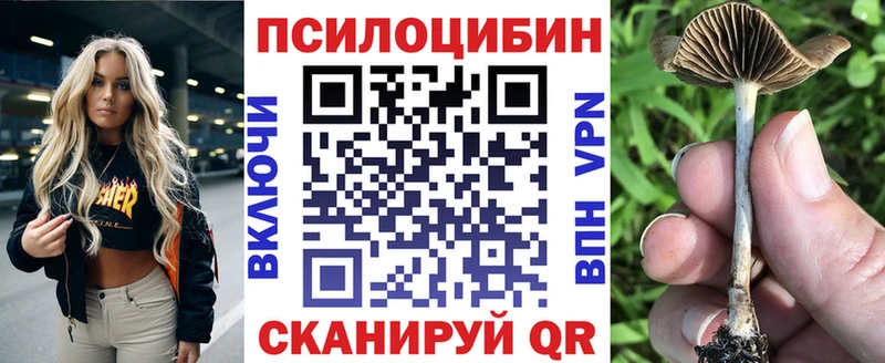 Галлюциногенные грибы Psilocybine cubensis  Карталы 